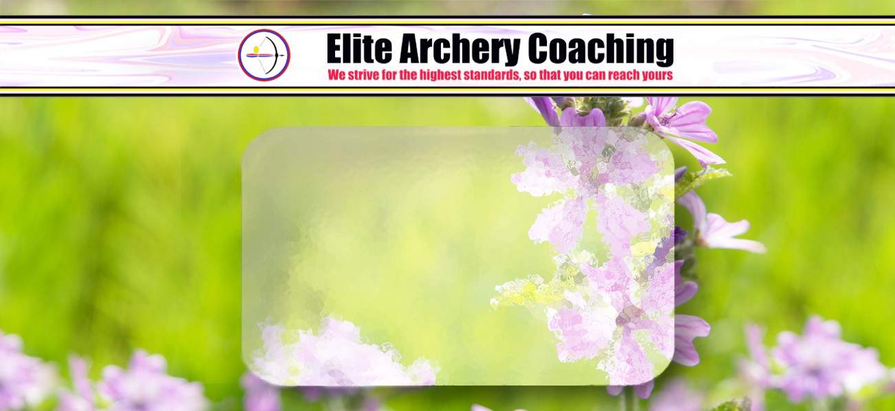 elite archery coaching in chiswick london